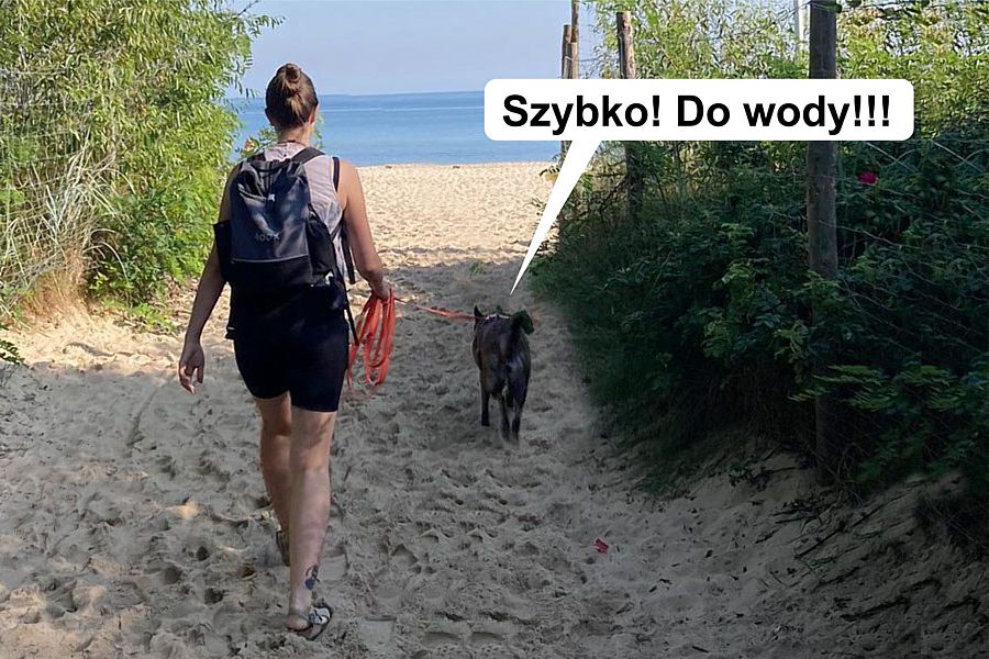 morsy.pl - Gda�sk Brze�no - 2025-09-05