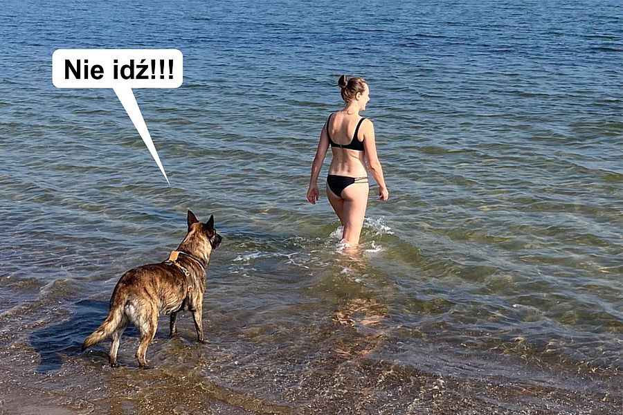 morsy.pl - Gda�sk Brze�no - 2025-09-05