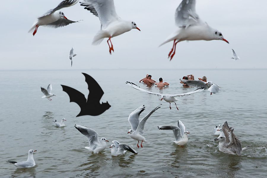 morsy.pl - Gda�sk Brze�no - 2025-11-02