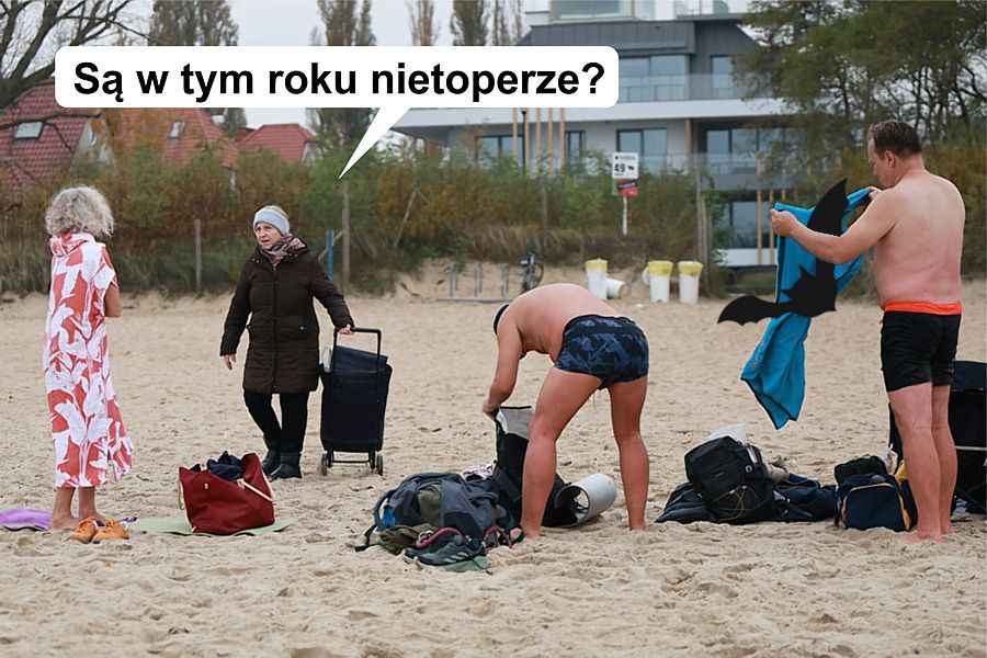 morsy.pl - Gda�sk Brze�no - 2025-11-02