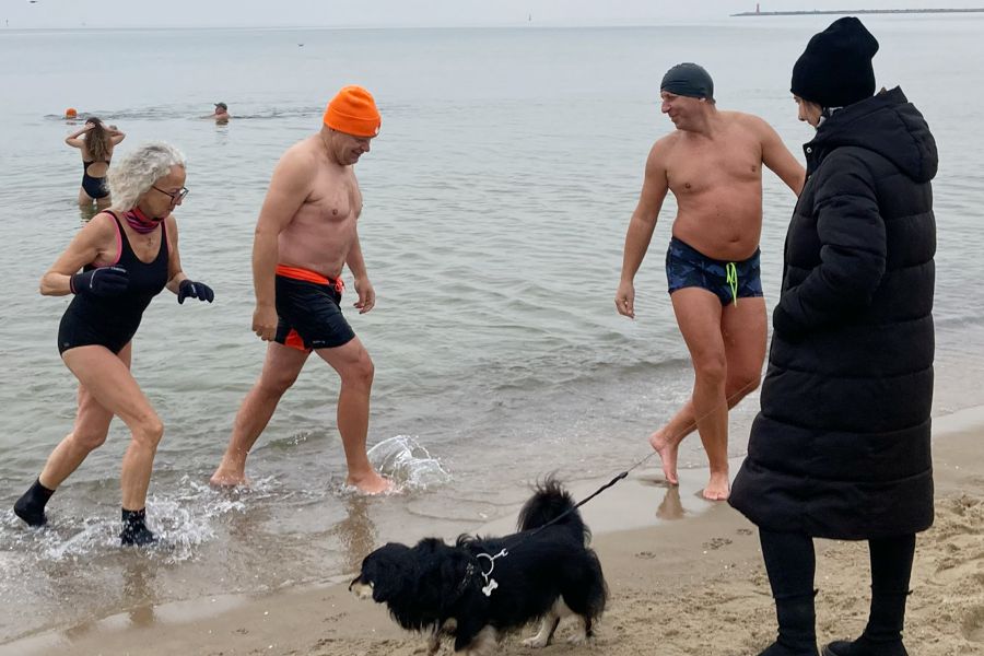 morsy.pl - Gda�sk Brze�no - 2025-11-09