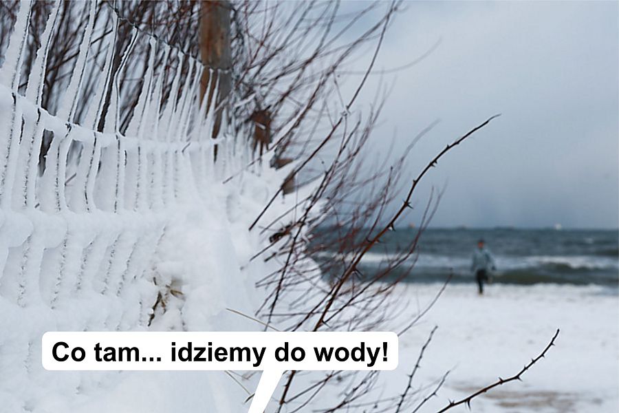 morsy.pl - Gda�sk Brze�no - 2026-01-11