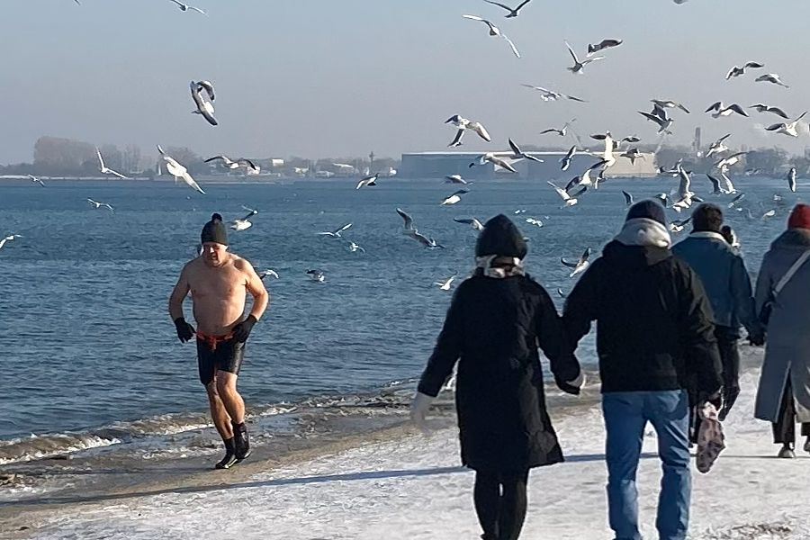 morsy.pl - Gda�sk Brze�no - 2026-01-18