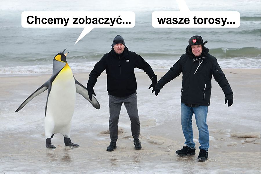 morsy.pl - Gda�sk Brze�no - 2026-01-25