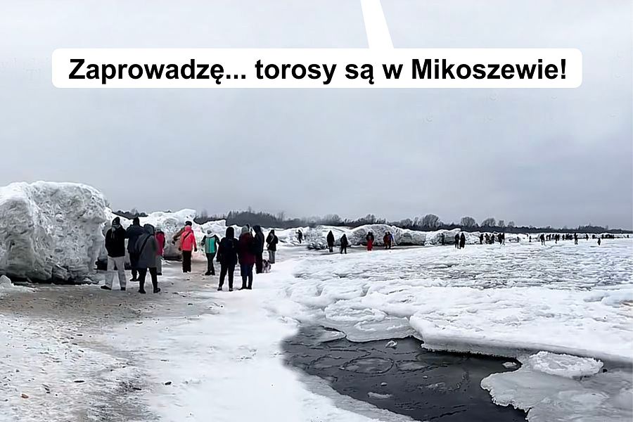 morsy.pl - Gda�sk Brze�no - 2026-01-25