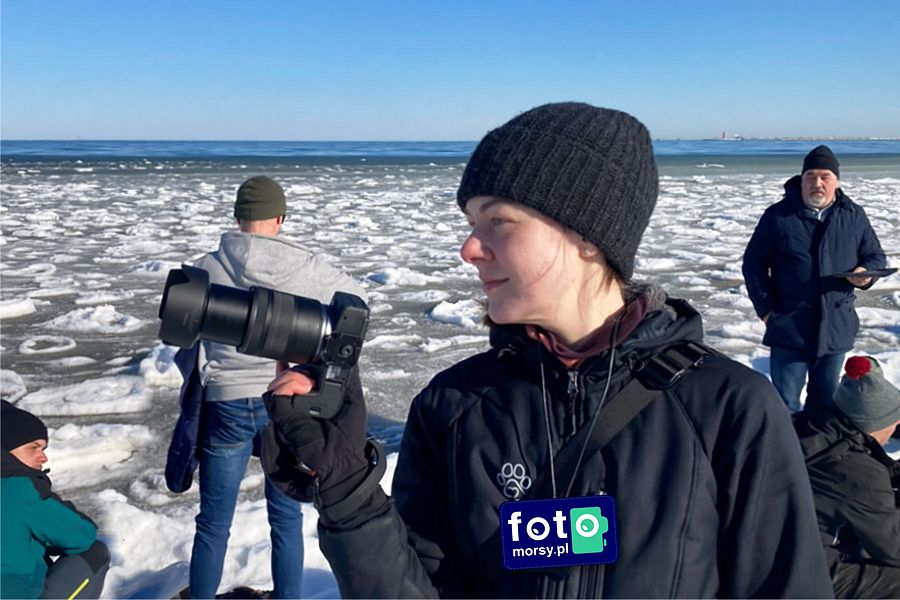 morsy.pl - Gda�sk Brze�no - 2026-02-15